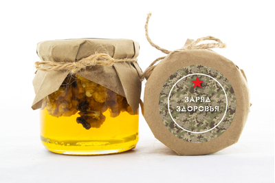 Мед с грецким орехом для подарочного набора на 23 февраля арт.:te401