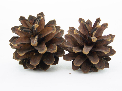 Именной подарок на День учителя «Craft Lite» uc078 - 9 - День Учителя - EcoGift.by