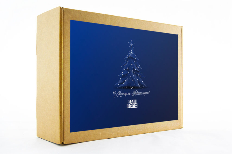 Дизайн коробки корпоративного подарка арт.: te33_012