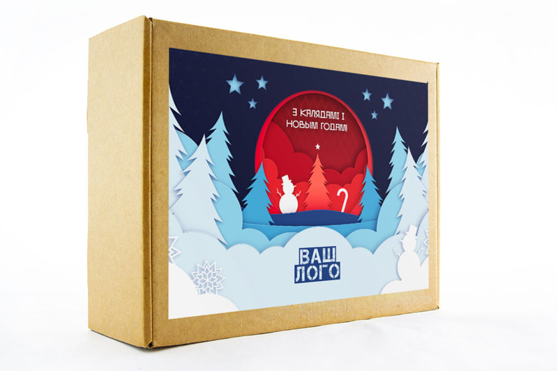 Дизайн коробки корпоративного подарка арт.: te32_014