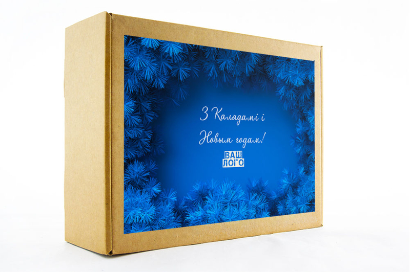 Дизайн коробки корпоративного подарка арт.: te31_020